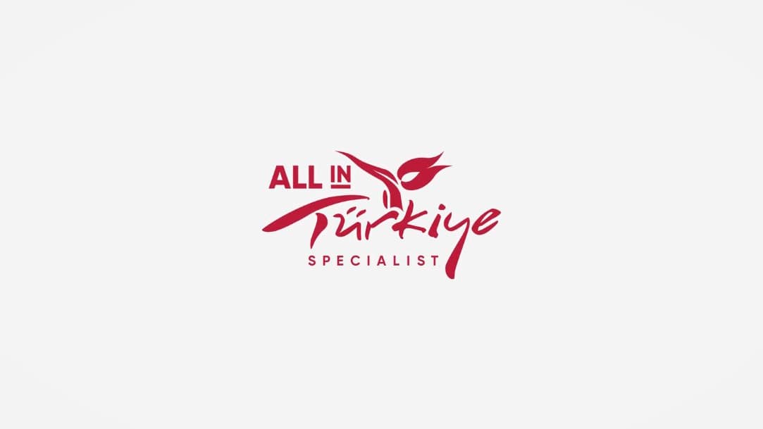 На платформе All in Türkiye стало вдвое больше курсов
