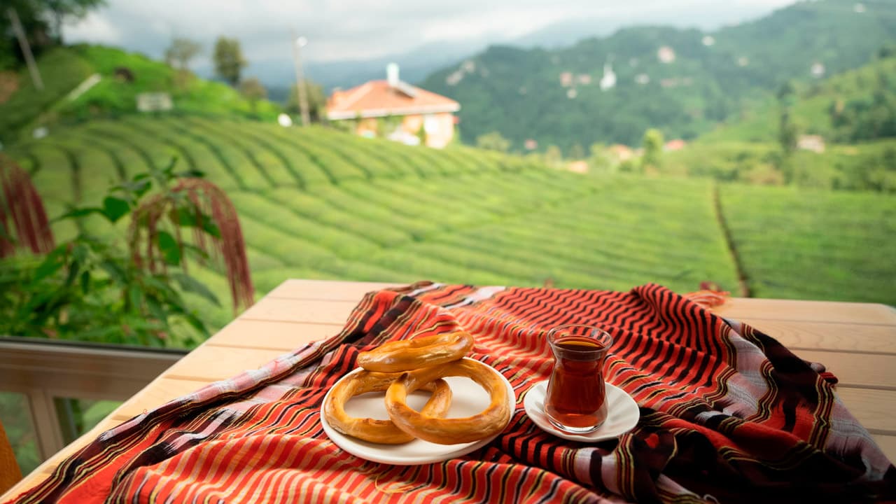 immerse-yourself-unforgettable-experience-harvesting-tea-turkiyes-most-beloved-beverage