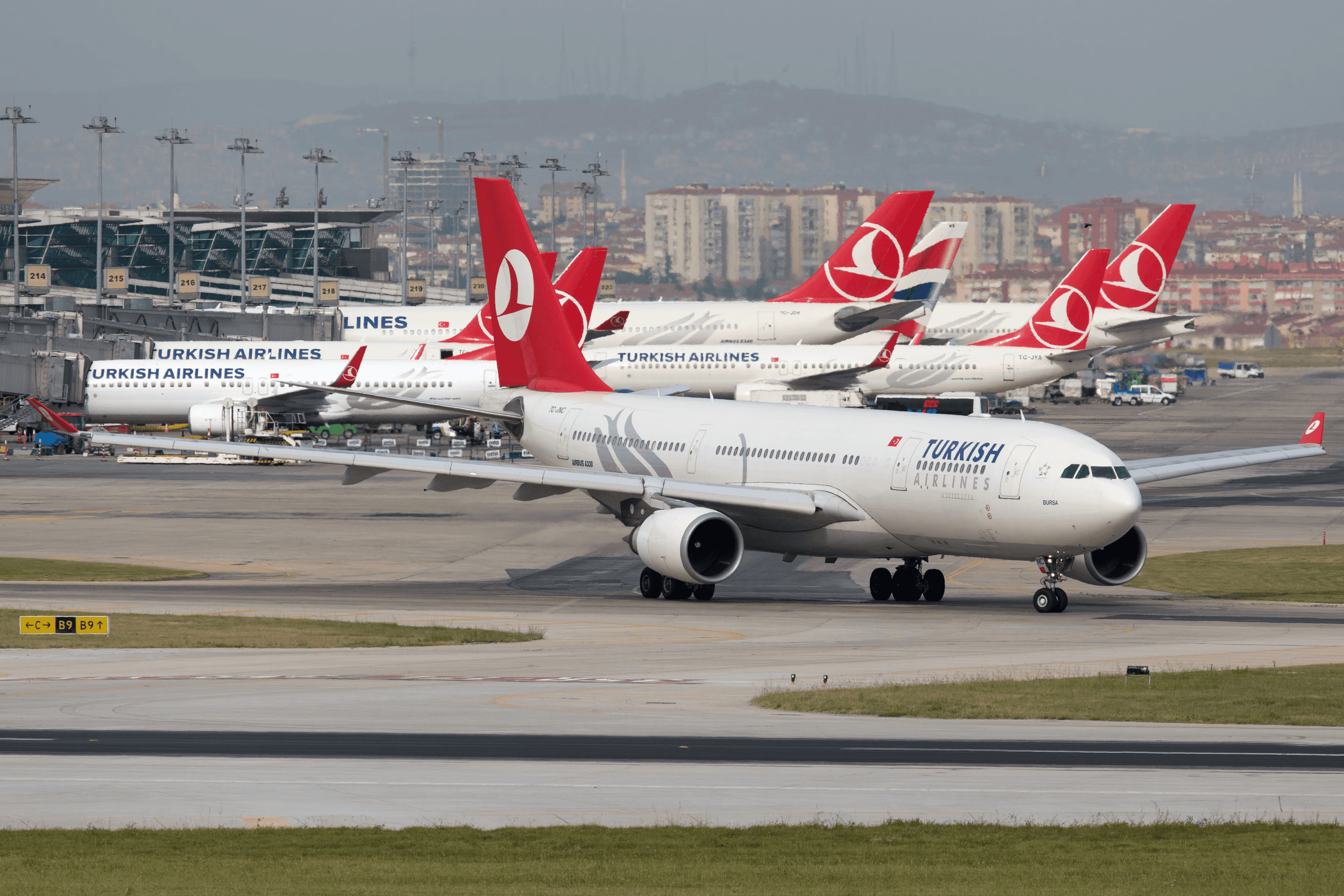 specialnaya-akciya-ot-turkish-airlines-ko-dnyu-respubliki