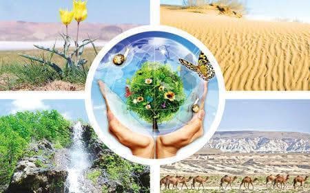 competition-among-schools-and-kindergartens-was-announced-turkmenistan