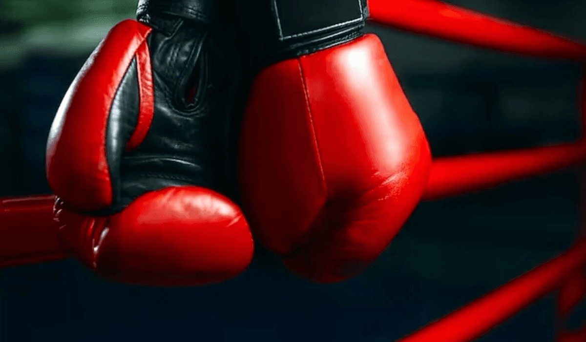 aziyada-taze-boks-konfederasiyasy-doredildi