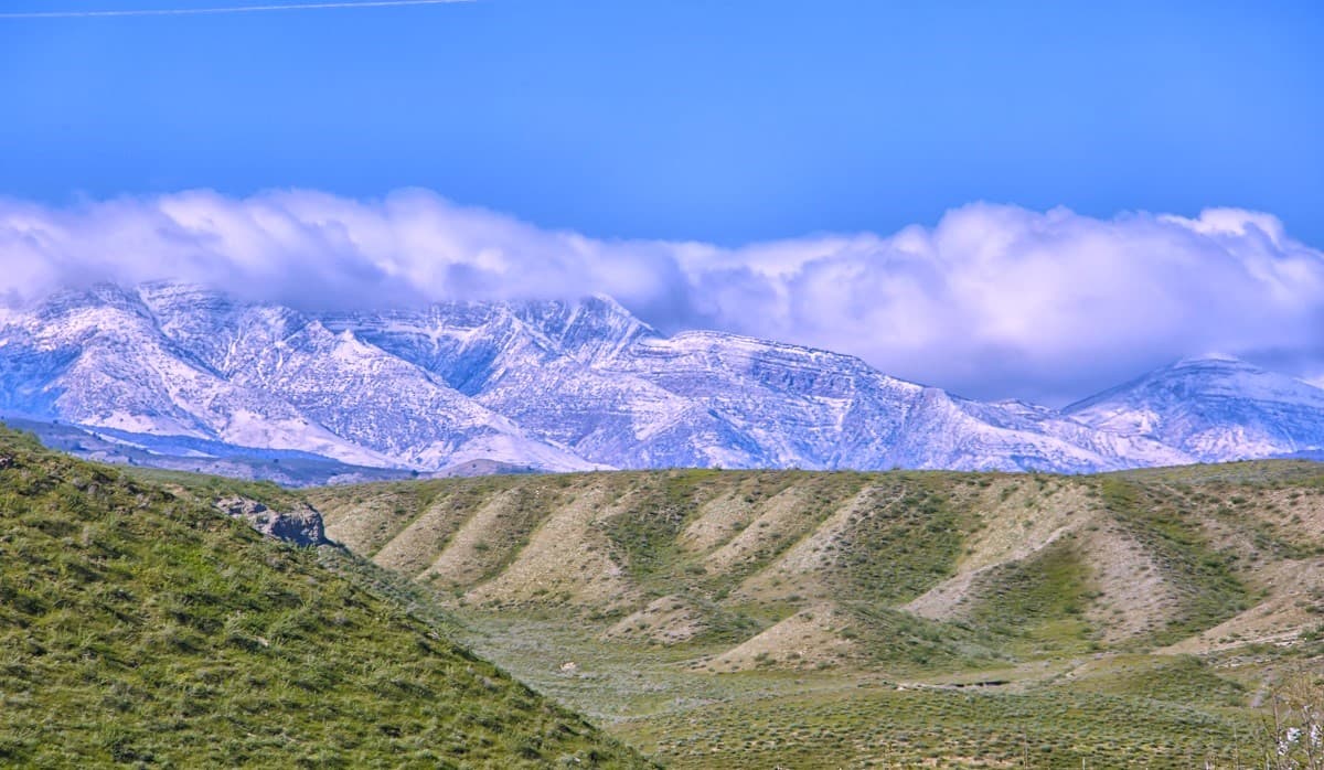 recca-and-taze-zaman-join-forces-improve-environmental-situation