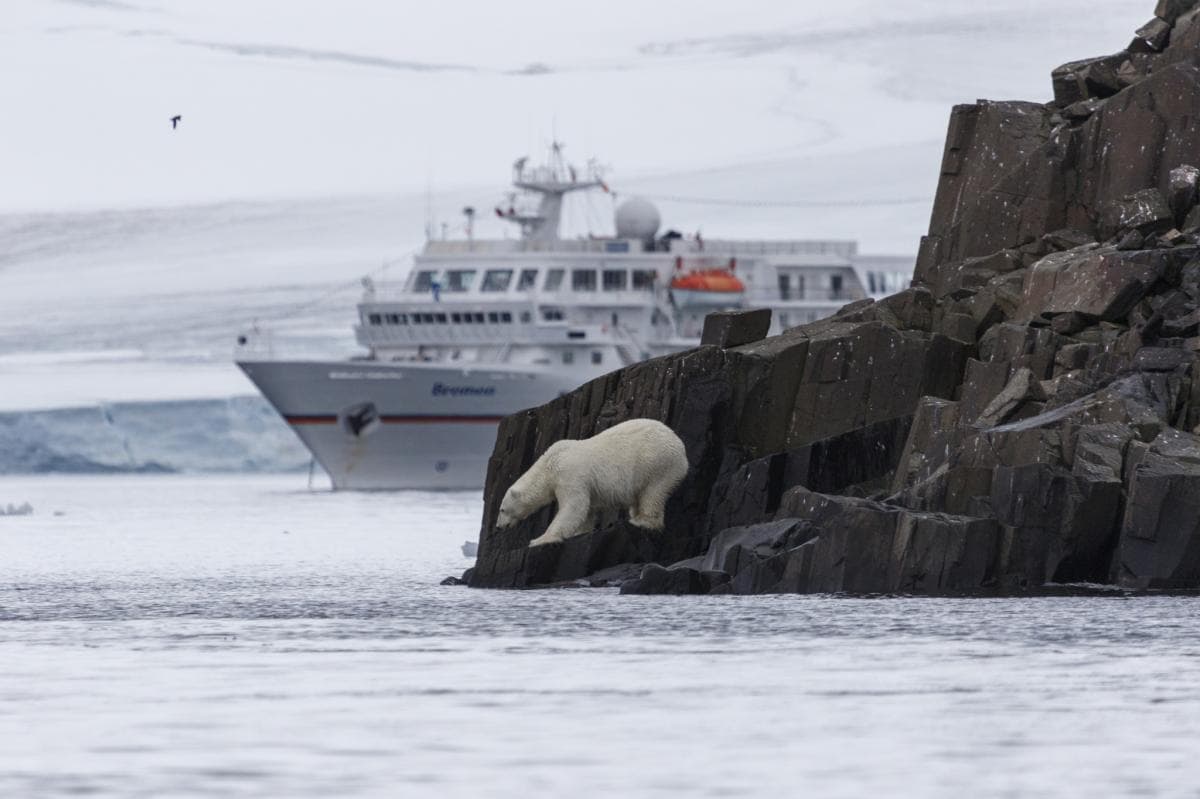 russia-proposes-integrating-northern-sea-route-north-south-transport-corridor