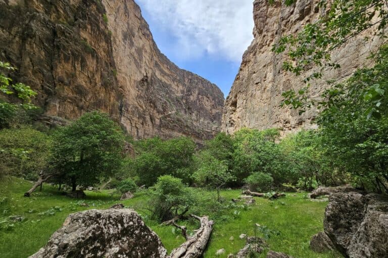 kak-izmenilos-bioraznoobrazie-v-turkmenistane-za-pyat-let-itogi-programmy-v-centralnoj-azii