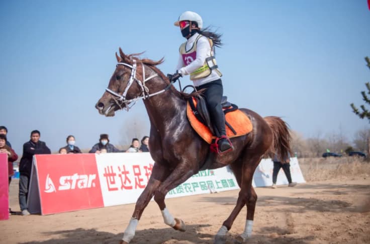 horse-racing-event-featuring-akhal-teke-horses-was-held-city-china