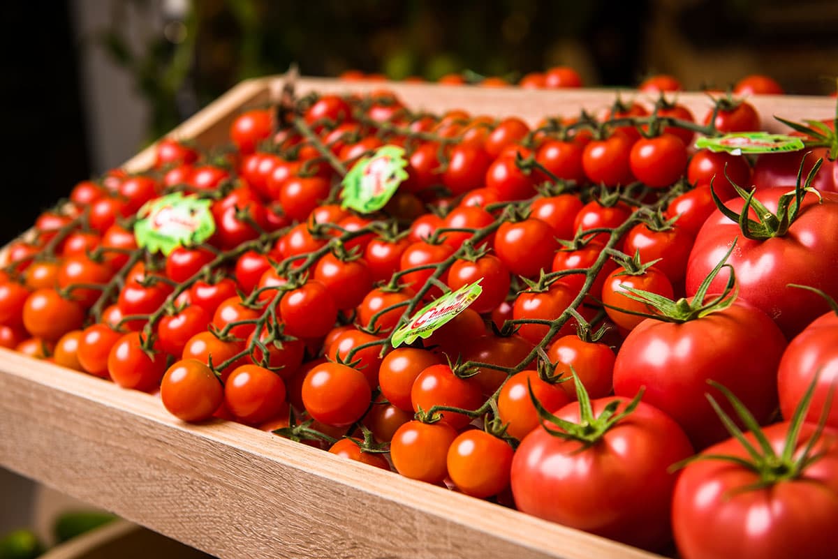 global-gp-standard-sustainability-yigits-contribution-international-quality-and-agri-sector-development