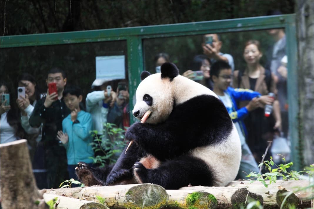 hongshan-zoo-nanjing-science-conservation-and-culture-one-place