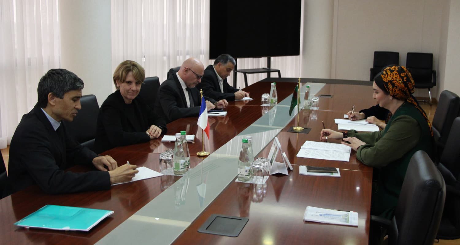 ministry-foreign-affairs-turkmenistan-was-held-meeting-senator-french-republic