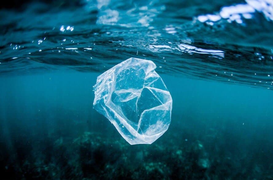 japanese-scientists-create-plastic-dissolves-seawater