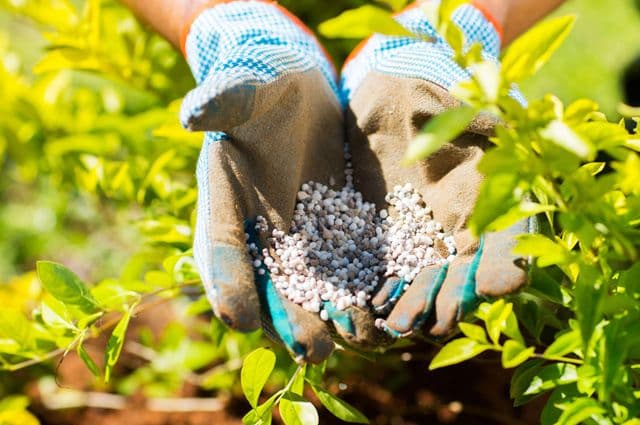 rossiya-gotova-uvelichit-postavki-prodovolstviya-i-minudobrenij-v-turkmenistan