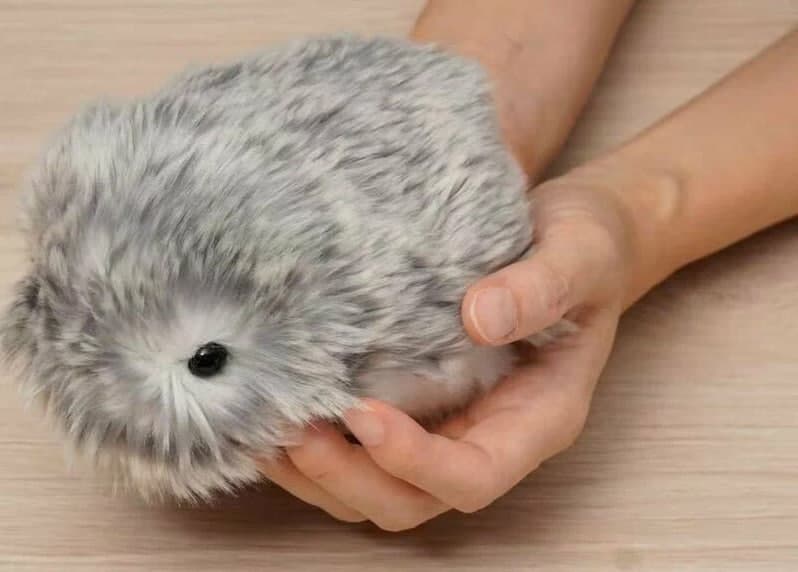 fluffy-robot-pet-moflin-unique-personality-becomes-hit-japan
