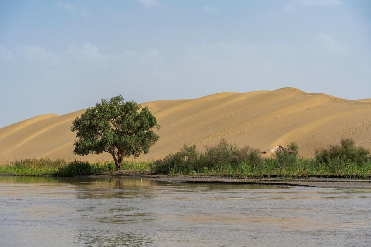 turning-deserts-fields-hope