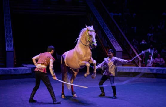 turkmenistanyn-dowlet-sirki-ajayyp-tomasa-cagyryar