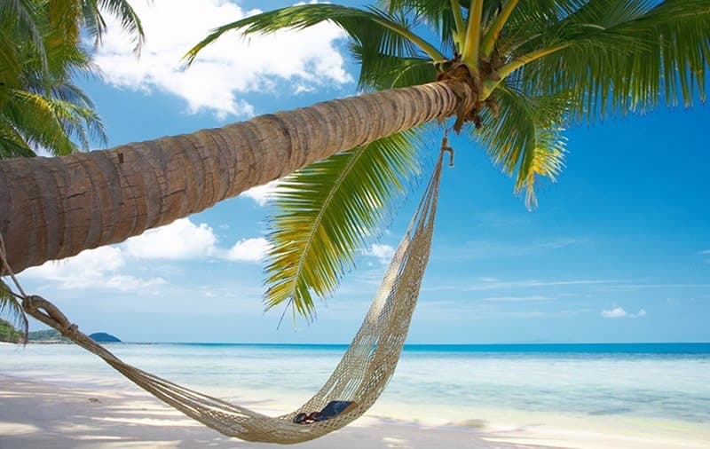 letravel-syyahatcylyk-agentligi-noyabr-ayynda-fukuok-adasyna-syyahatcylyk-toparlary-barada-yglan-etdi