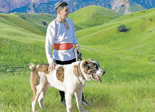 v-ashhabade-projdyot-mezhdunarodnyj-konkurs-turkmenskih-alabaev