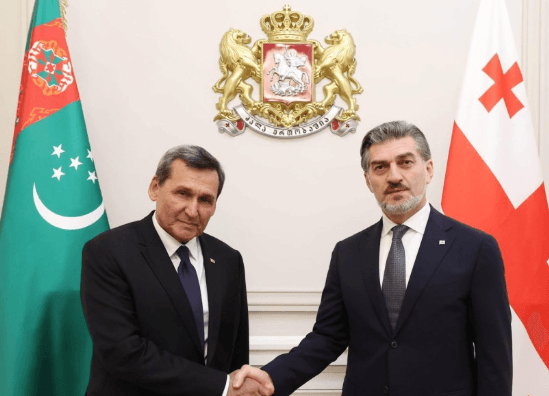 turkmenistans-foreign-minister-discusses-bilateral-relations-president-georgia
