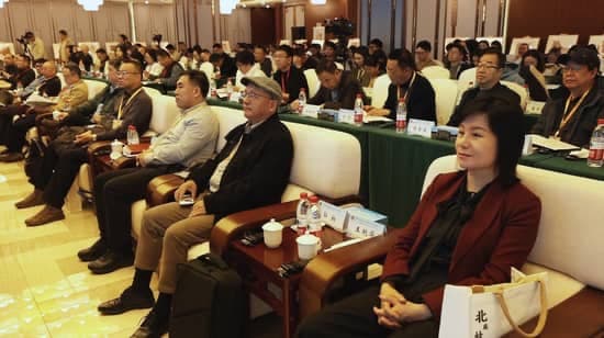recent-discoveries-paryzdepe-presented-academic-conference-xinjiang