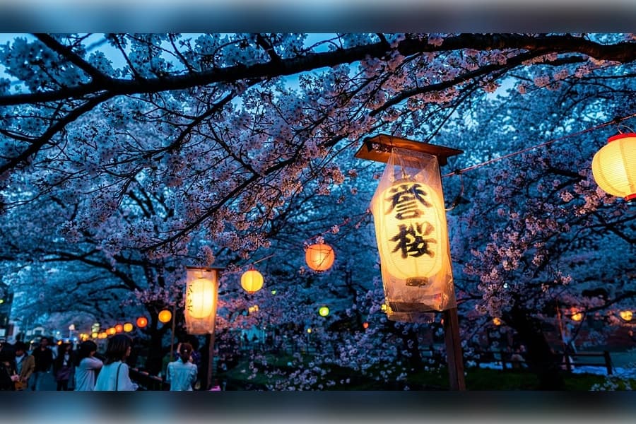 cherry-blossom-season-2026-why-trip-japan-will-be-record-cheap-year