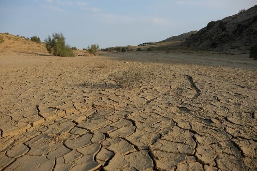 na-vysohshem-dne-aralskogo-morya-voznikla-novaya-ekosistema