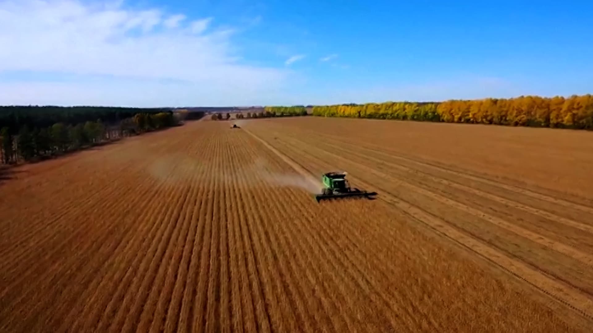 В Китае закуплено более 100 млн тонн осеннего зерна