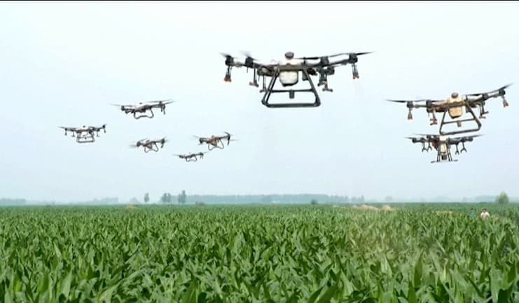 Китай добьется значительного прогресса в модернизации сельских районов к 2025 году