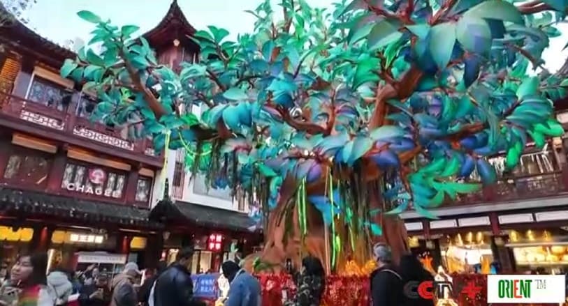 Сфера услуг Китая показала устойчивый рост в январе–ноябре