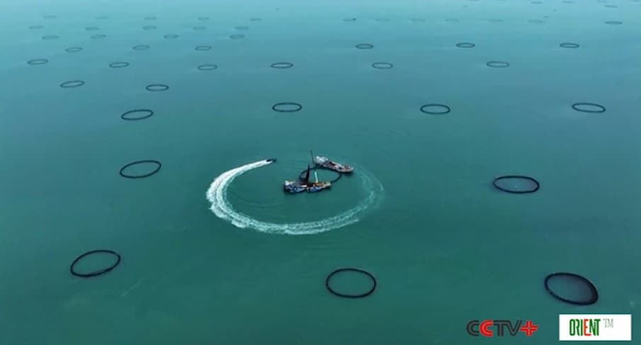 Морская экономика Китая в 2025 году превысила 11 триллионов юаней