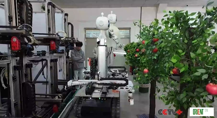 Chinese researchers develop apple-picking robot for real-world application
