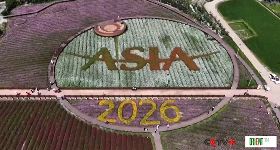 «Один мозг, множество тел» — новая парадигма робототехники от SenseTime