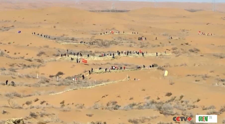 Чжунвэй против пустыни — обработка сотен тысяч гектаров и зелёный пояс у Жёлтой реки