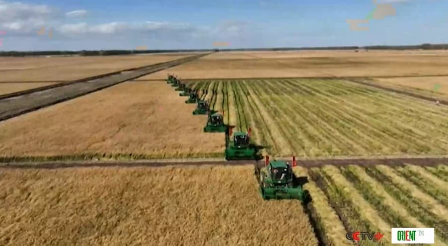 Китай завершил подготовку к Четвертой общенациональной сельскохозяйственной переписи