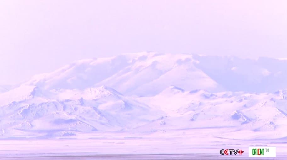 В Сычуани улучшилась экология заповедника Руоэргай — водно‑болотные угодья под надёжной защитой