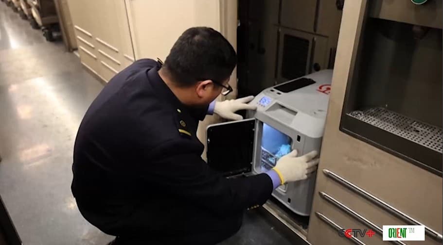 Китай расширяет возможности перевозки домашних животных по высокоскоростным железным дорогам