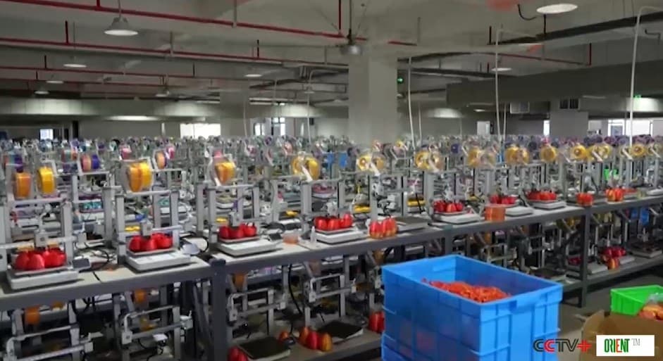 China’s 3D Printing Goes Mainstream: From Implants to Watches and Shoes. The Technology Is Becoming a Necessity, Not Just a Lab Novelty