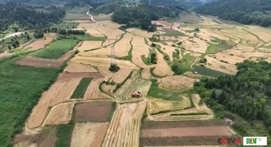 Nitrogen, Robots and Drones Against Insects: How China Protects 70,000 Tons of Grain. 132 Scientific Achievements and a New Generation of Eco-Storage