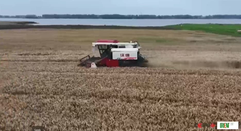 China to Boost Grain Production to 725 Million Tons by 2030. Smart Fields, New Technologies and a Beautiful, Harmonious Countryside for Living and Working