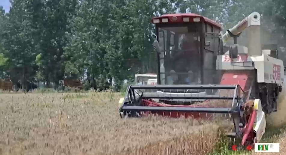 China Has Harvested 40 Percent of Its Winter Wheat. 9.5 Million Hectares, 4 Million Machines and 1.33 Million Hectares per Day — a Record Is on the Way