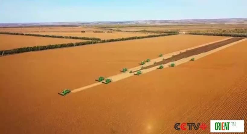 Xi calls for solidly advancing rural revitalization across the board