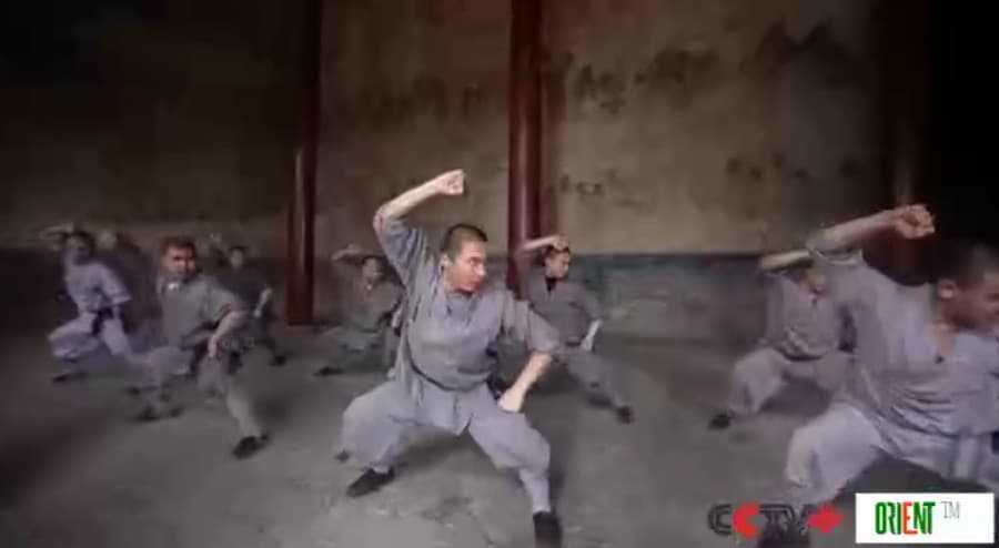 Chinese, foreign martial artists perform in special TV program to usher in Year of Horse