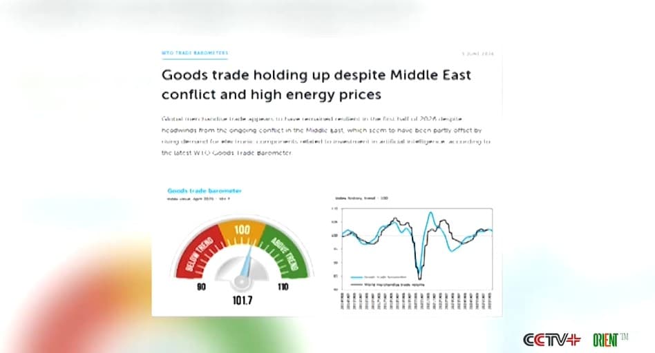 Did AI Save Global Trade? WTO: Electronic Components Prop Up the Market Despite Middle East War