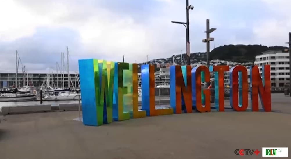 Wellington drowning: once a century floods now come twice a year — study links it to human activity