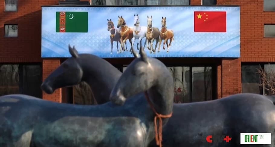 The Turkmen leader presented an Akhal-Teke horse to China, emphasizing a shared heritage in the Year of the Horse