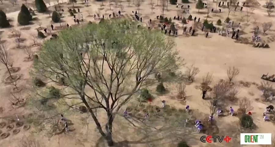 Xi joins Beijing residents to plant trees as China looks to a greener future