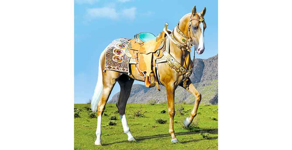 university-students-are-invited-participate-essay-competition-dedicated-national-turkmen-horse-day