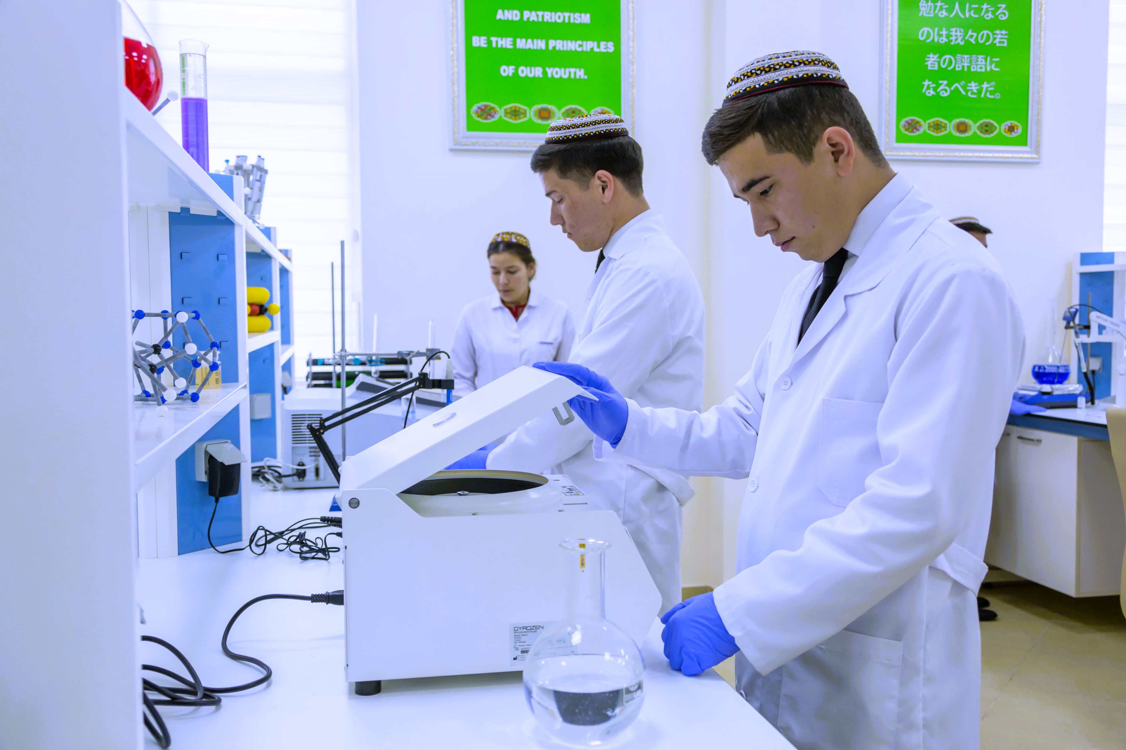 implementing-ideas-international-year-peace-and-trust-sphere-education