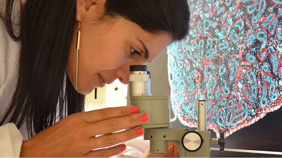 v-dushanbe-otmetili-vklad-zhenshchin-v-razvitie-izobretatelstva