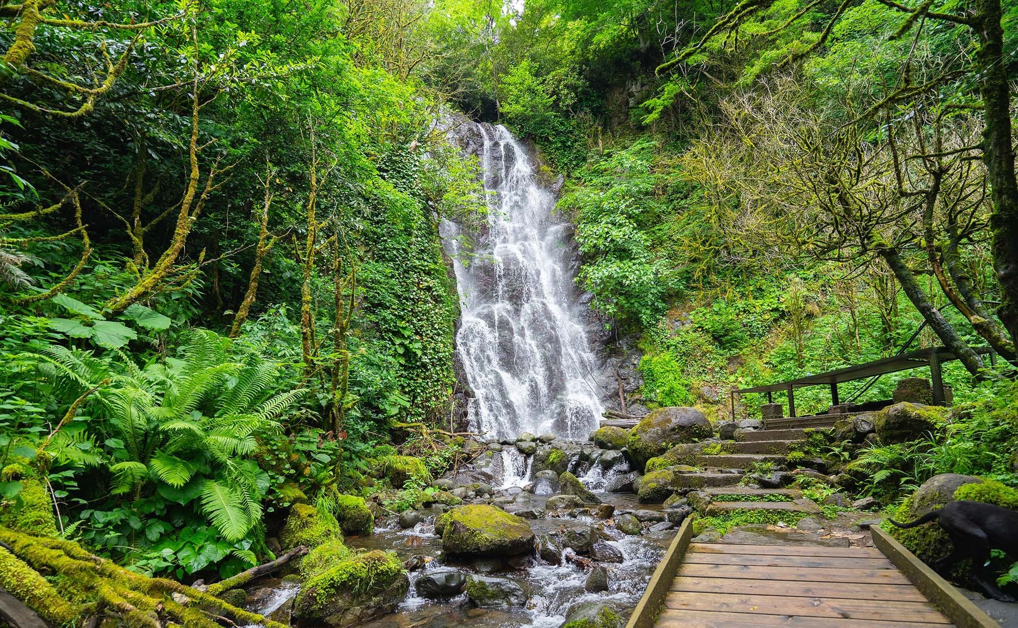 turkmenistan-studies-georgias-experience-preserving-aquatic-ecosystems-and-creating-national-parks