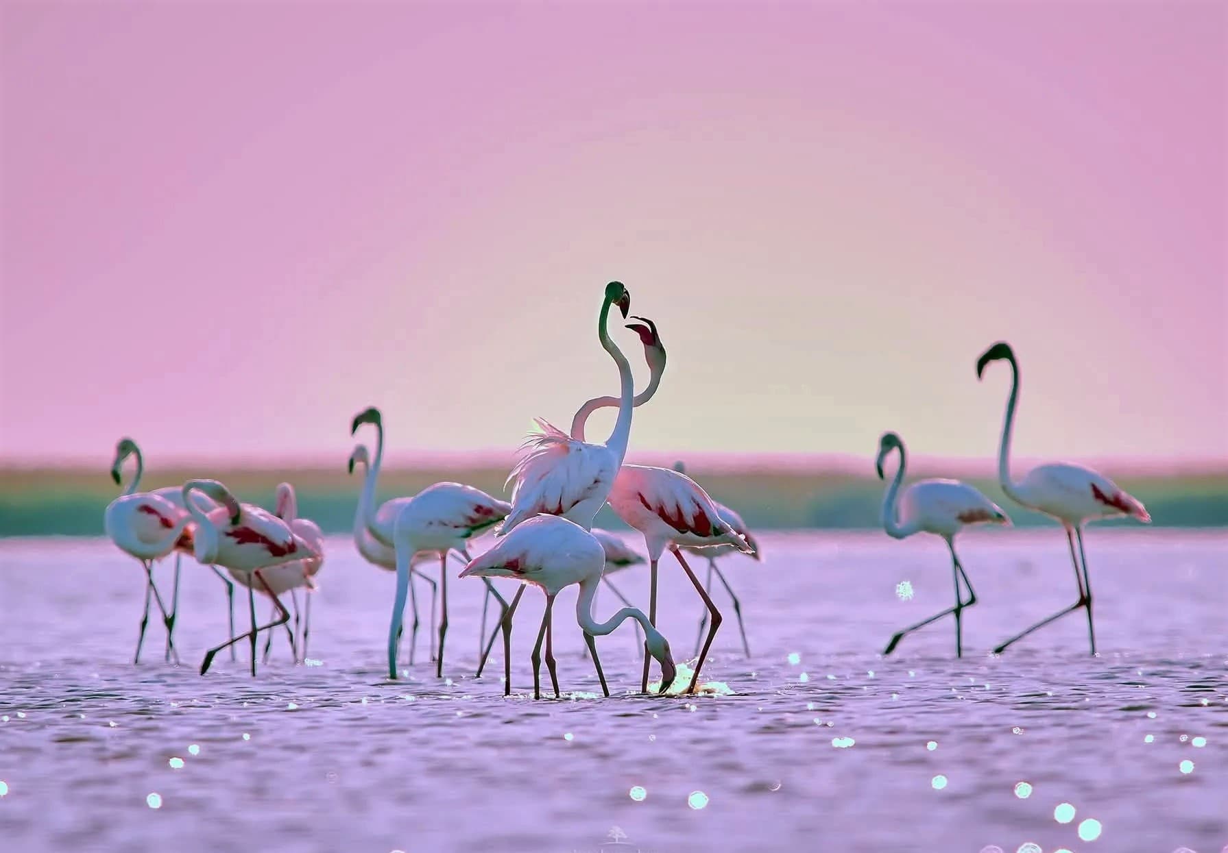 ashhabad-vstrecha-po-voprosam-kaspijskogo-morya