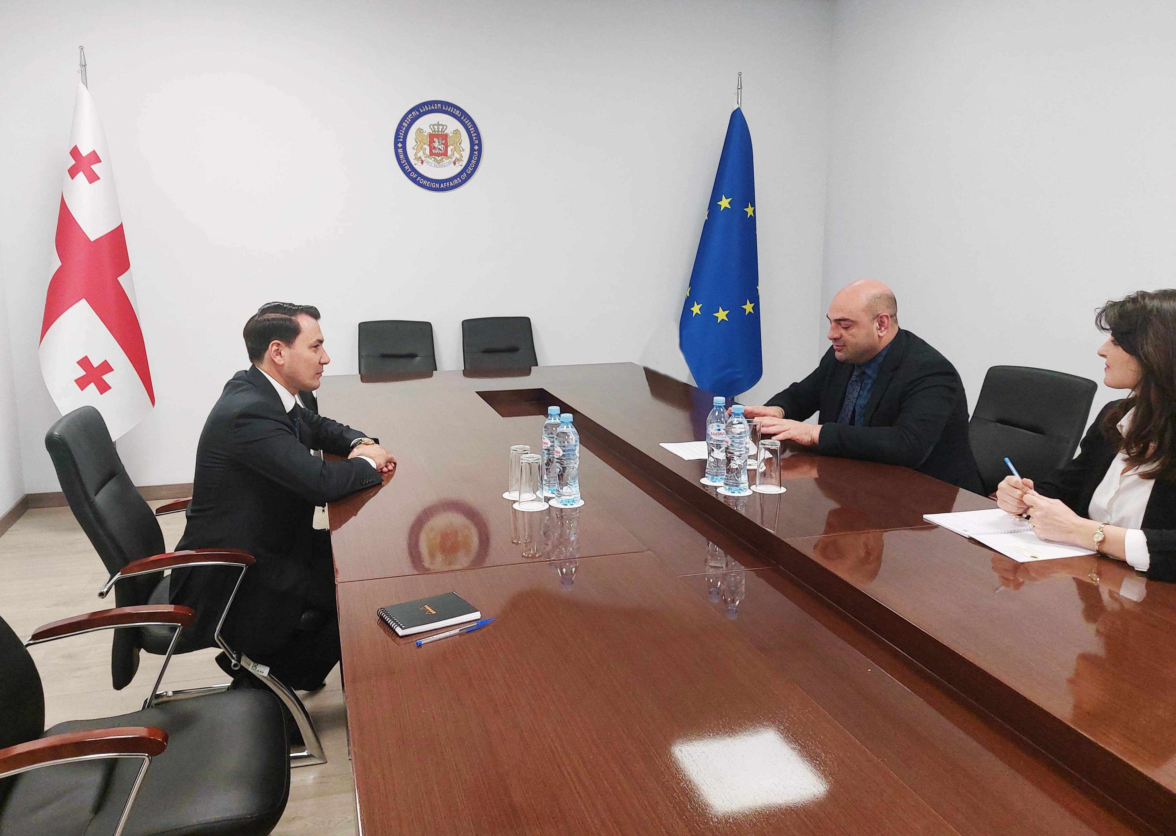 turkmenistanyn-ilcisinin-gruziyanyn-dasary-isler-ministrligindaki-dususygy