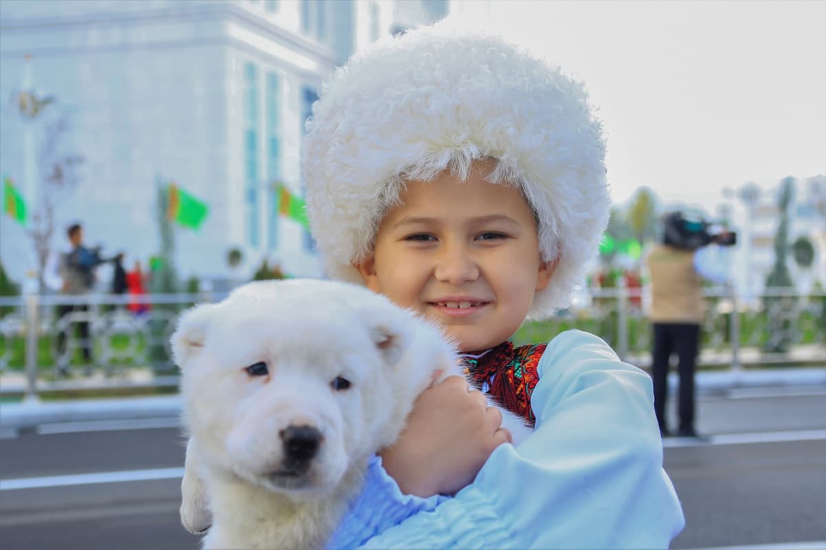 turkmen-alabai-day-holiday-uniting-worlds-cynologists-and-national-heritage